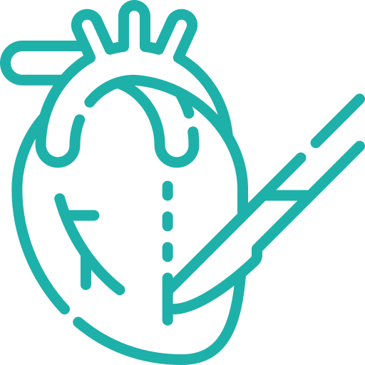 dr anas assaidi saidi cardiologue